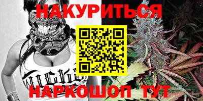 гидра Партизанск
