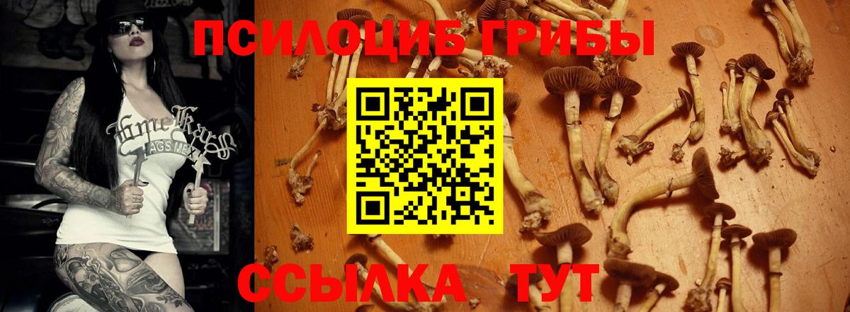 Галлюциногенные грибы MAGIC MUSHROOMS  Вход с VPN  Томск  Псилоцибиновые грибы MAGIC MUSHROOMS 
