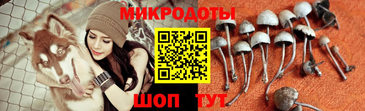 LSD-25 Томск