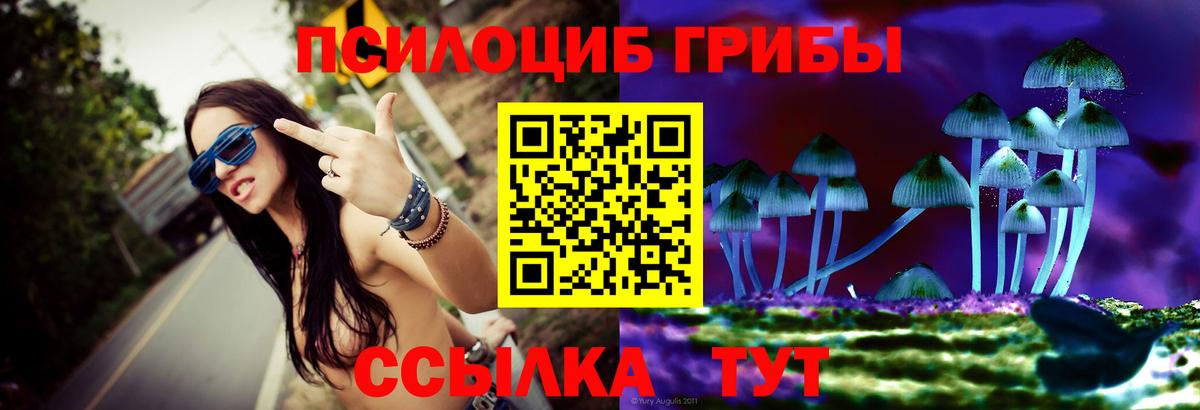 Галлюциногенные грибы Psilocybine cubensis Томск